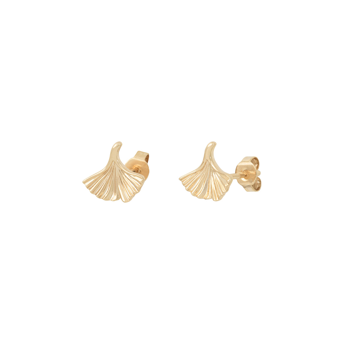 Puces Gingkko